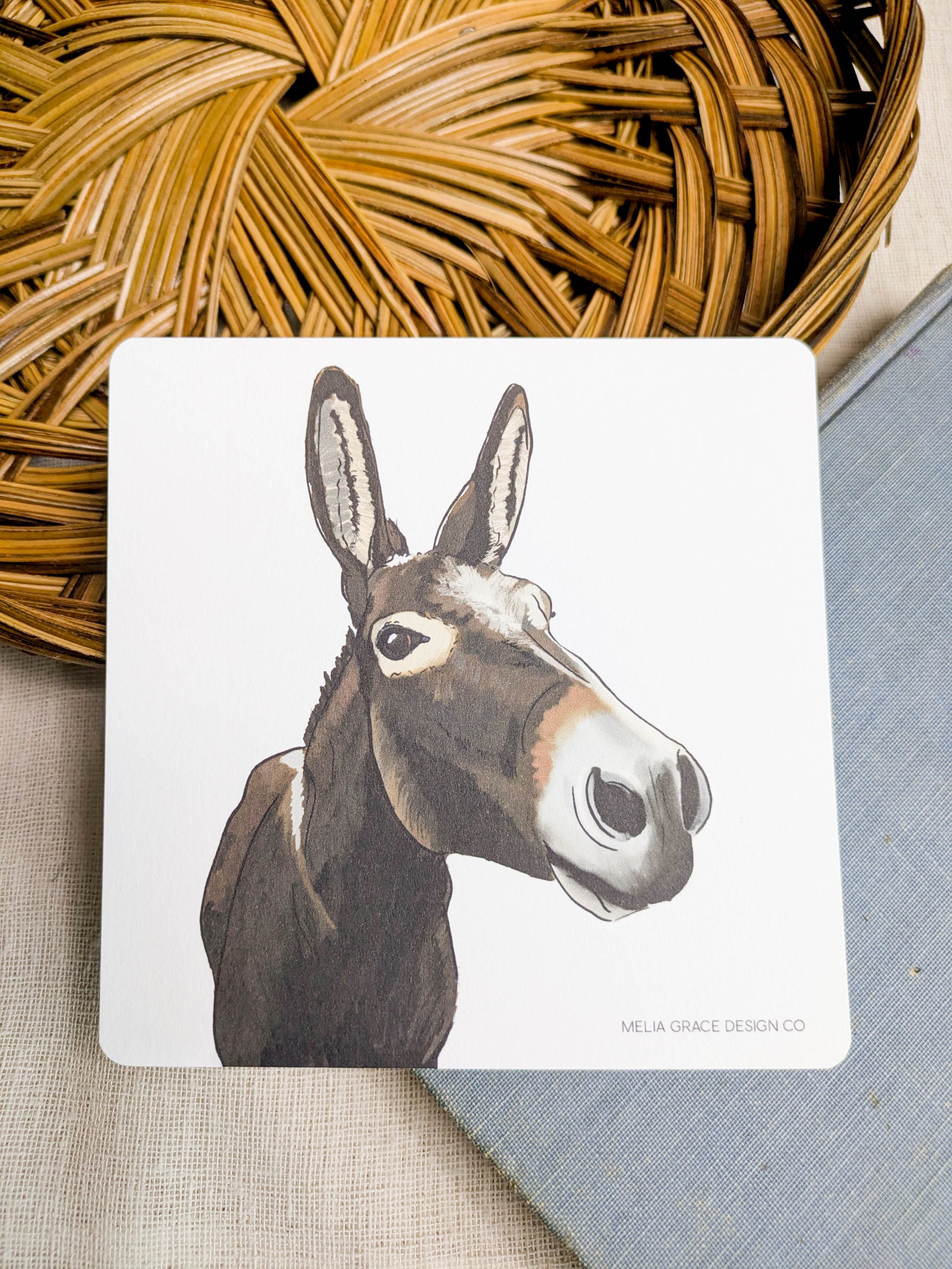 Donkey Time