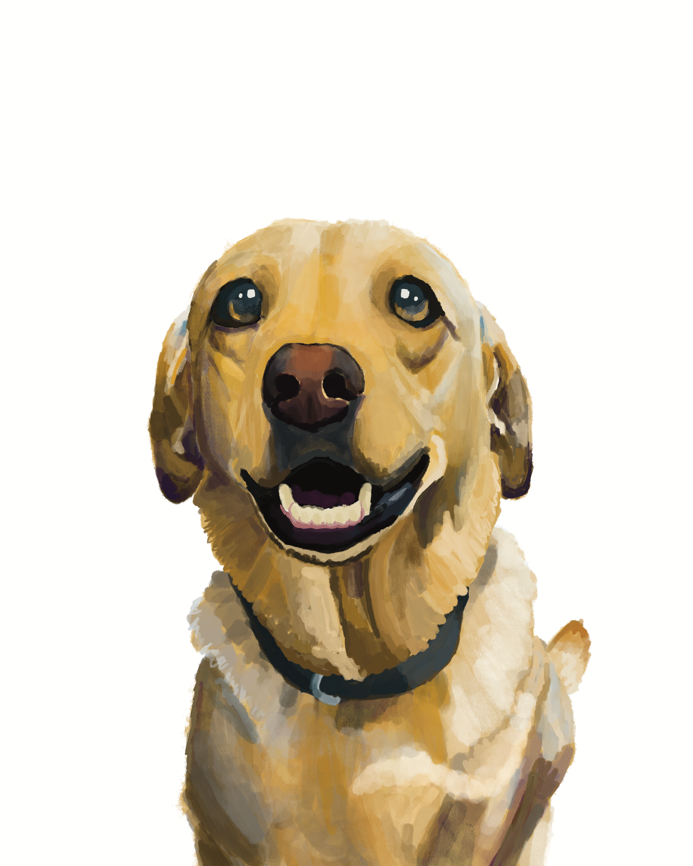 Custom Pet Portrait